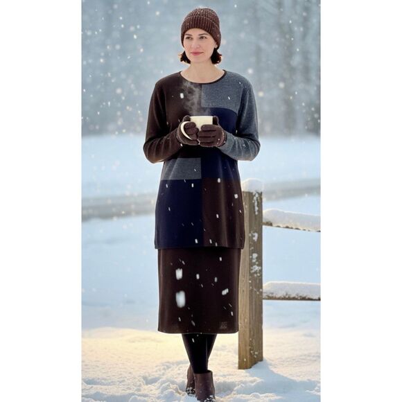 NWT Nina Leonard 2-Pc Set Color Block Sweater & Solid Skirt Sz. Large - Picture 8 of 11